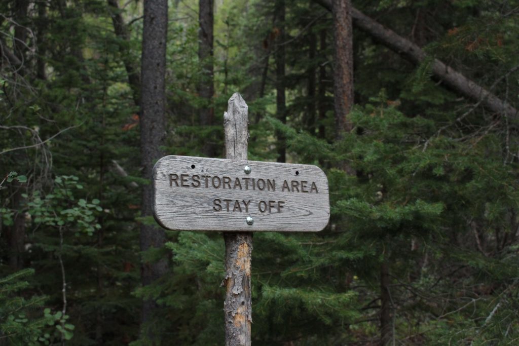 Sign in the woods: restoration are